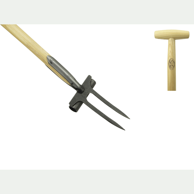 Rasen Pflegeforke, lange Zinken