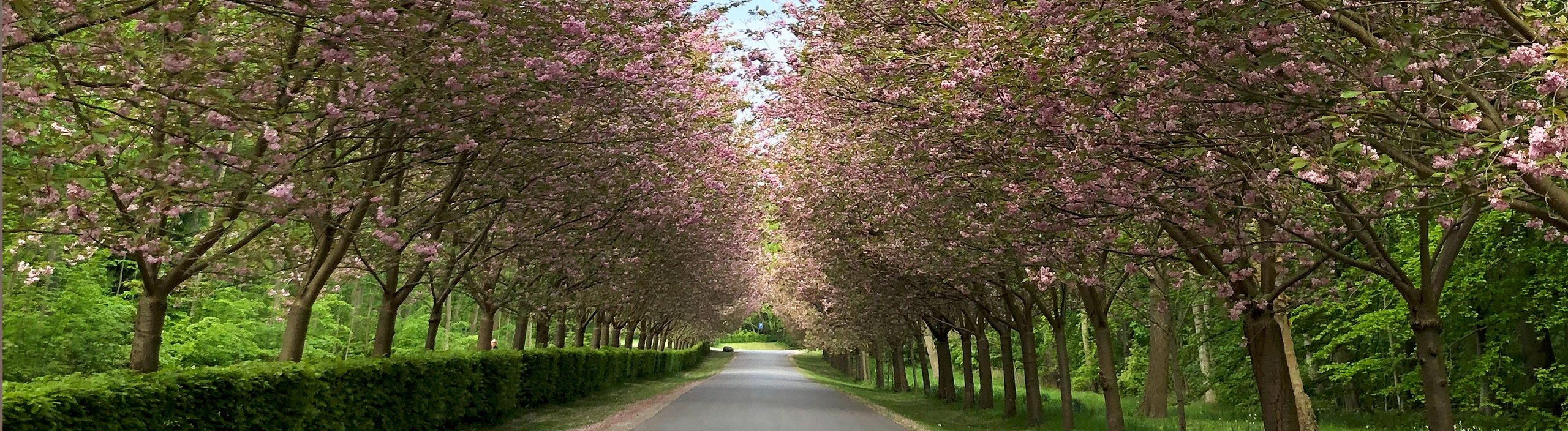 F�r alle, die Wert auf Qualit�t, Funktion und echte Gartenfreude legen.