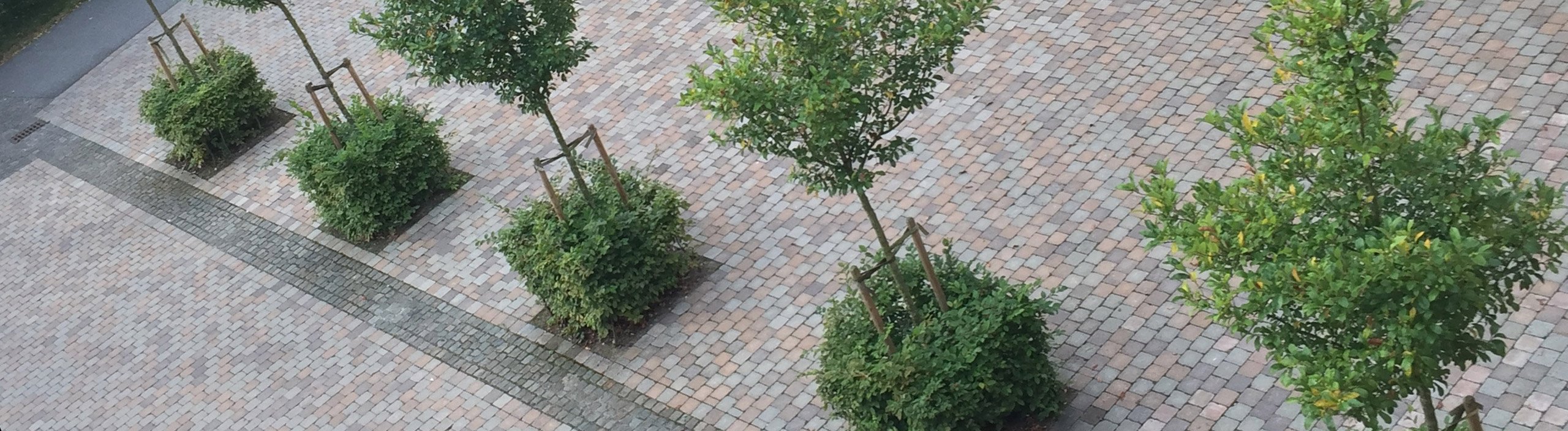 DeWit Tief- und Galabau