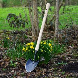 DeWit� WD Amerikanische Minischaufel, 48 cm Stiel