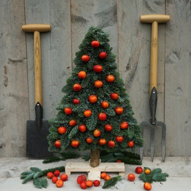 Zwei DeWit Gartenwerkzeuge mit kurzem Stiel und T-Griff neben einem kleinen Weihnachtsbaum