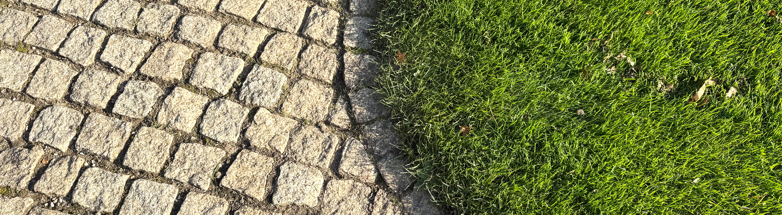 Bannerbild zu Allgemeinen Gesch�ftsbedingungen.