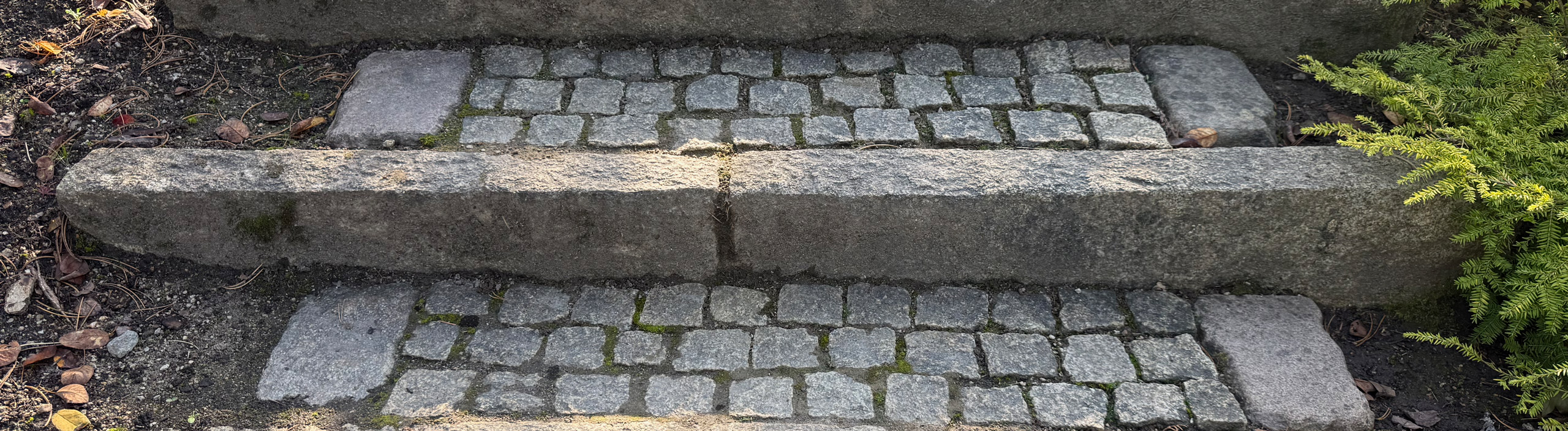 Bannerbild zu Cookies und Datenschutzhinweisen.